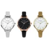 Pierre Cardin Multicolor Women Watch