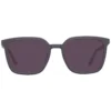 Police Brown Men Sunglasses