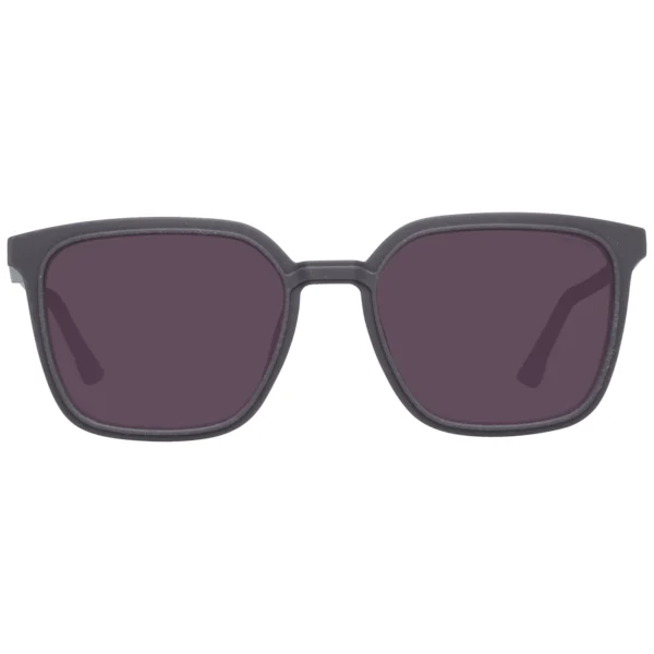 Police Brown Men Sunglasses