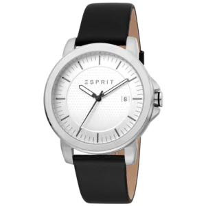 Pierre Cardin Silver Men Watch