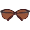 Serengeti Burgundy Women Sunglasses