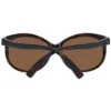 Serengeti Brown Women Sunglasses