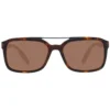Serengeti Brown Men Sunglasses