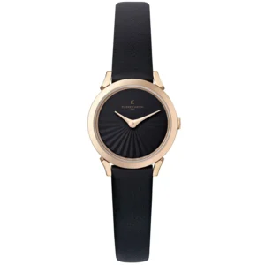Pierre Cardin Silver Men Watch