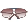 Police Brown Men Sunglasses