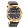 Pierre Cardin Gold Men Watch