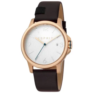 Pierre Cardin Silver Men Watch