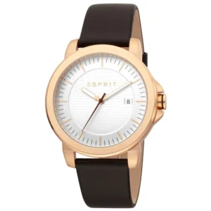 Pierre Cardin Silver Men Watch
