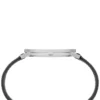 Pierre Cardin Silver Men Watch