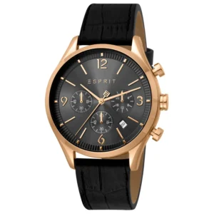 Pierre Cardin Silver Men Watch