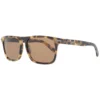 Serengeti Brown Men Sunglasses
