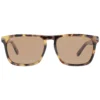 Serengeti Brown Men Sunglasses